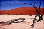 Death Vlei, Namibia